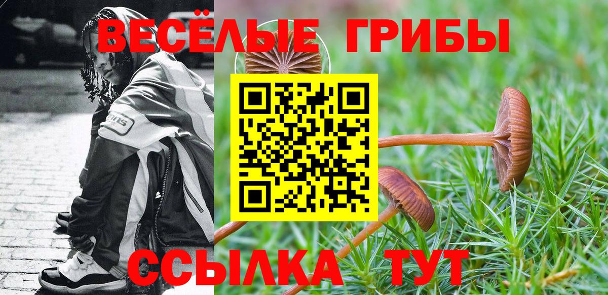 купить наркотики цена  Вход с VPN  Якутск  Псилоцибиновые грибы Psilocybe 